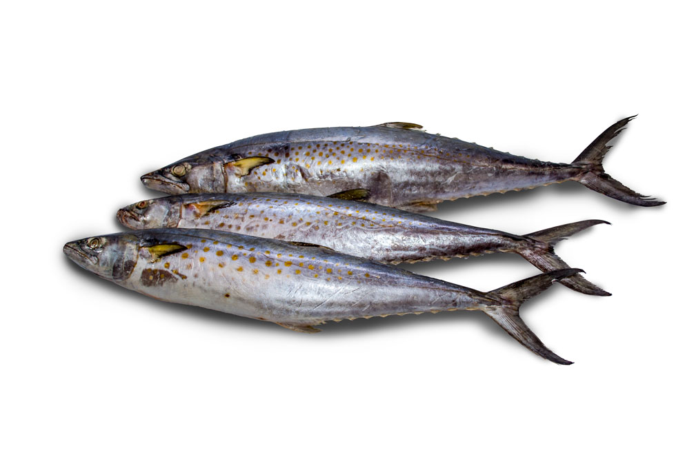 Pescado de Mar (Lb)