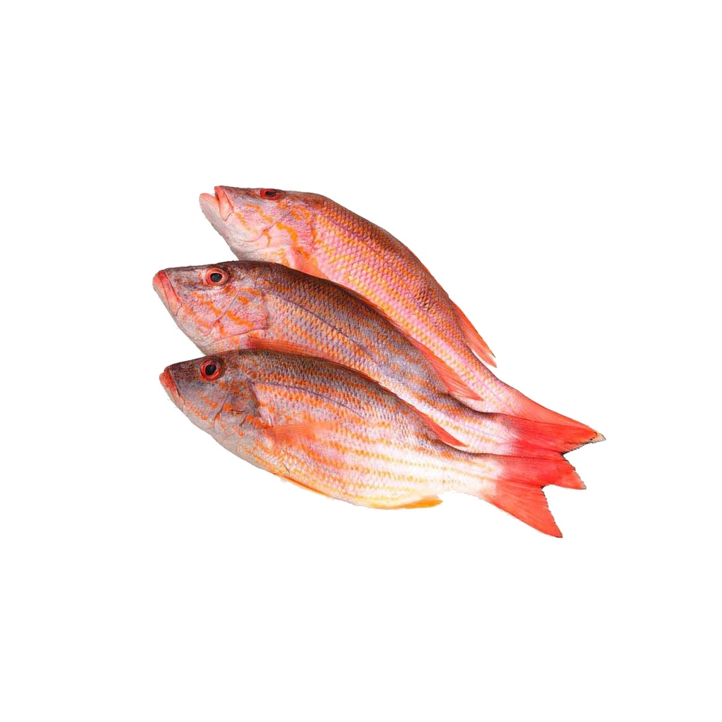 Pescado Pargo 2 lb