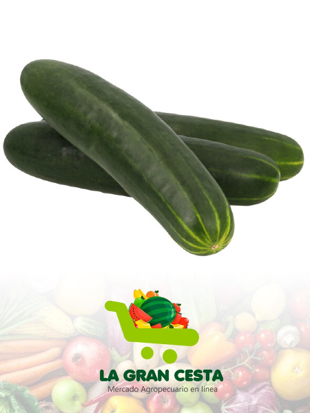 Pepino (10 lb / 4.6 kg)