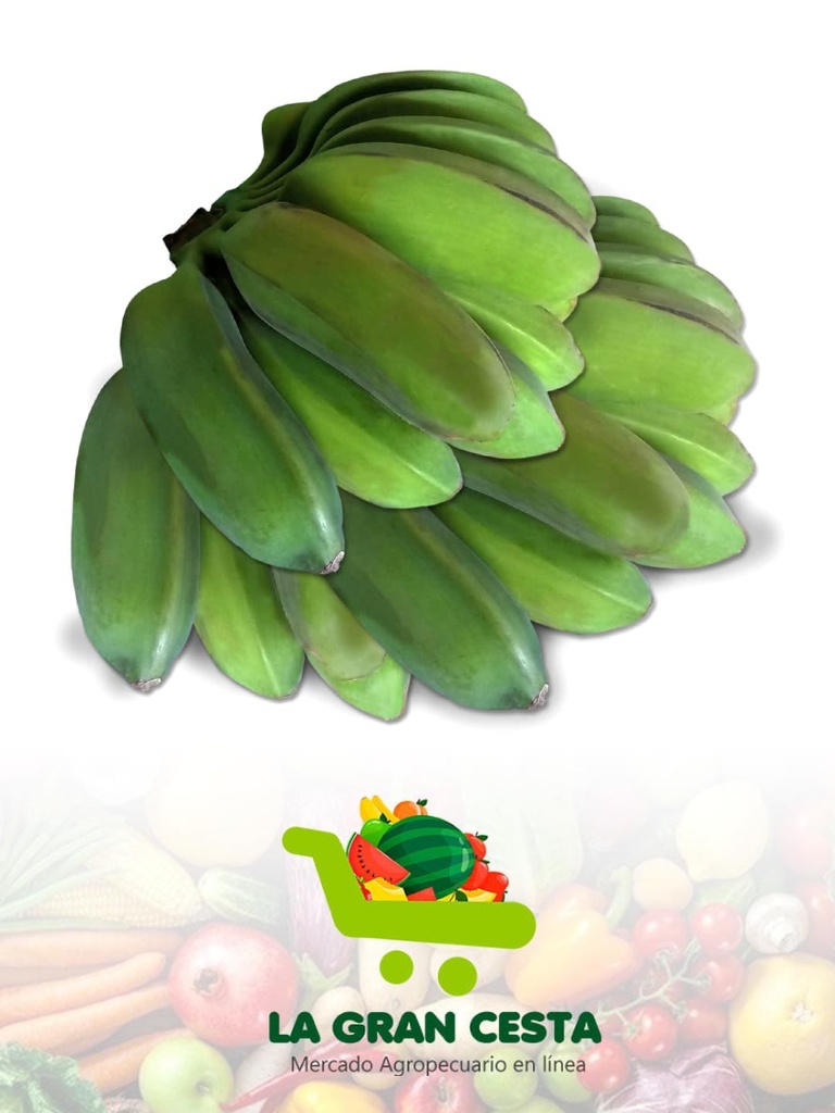 Plátano burro verde cinco manos (15-20 lb / 6.9-9.2 kg)