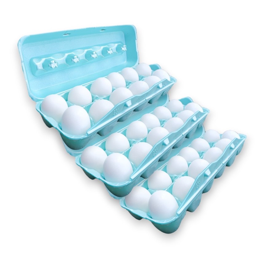3 Docenas de Huevos (36 ud)(Importados)