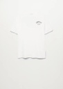 Camiseta algodón estampado Louis Ville EE.UU