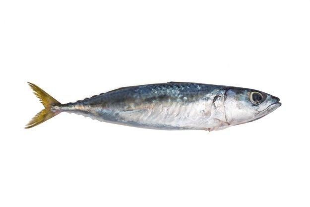 Pescado de mar (lb)