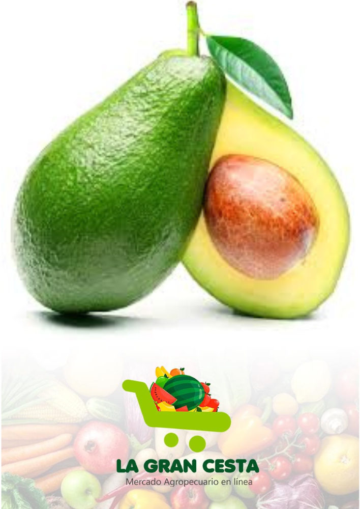 Aguacate (10 lb / 4.6 kg)