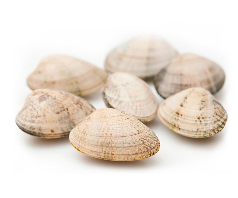 Almejas (2lb) HH