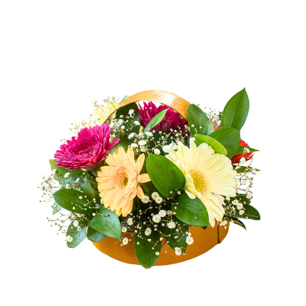 Arreglo Alegría de Gerberas: Un Toque de Sol