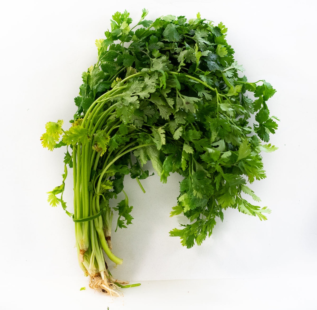 Cilantro (mazo)