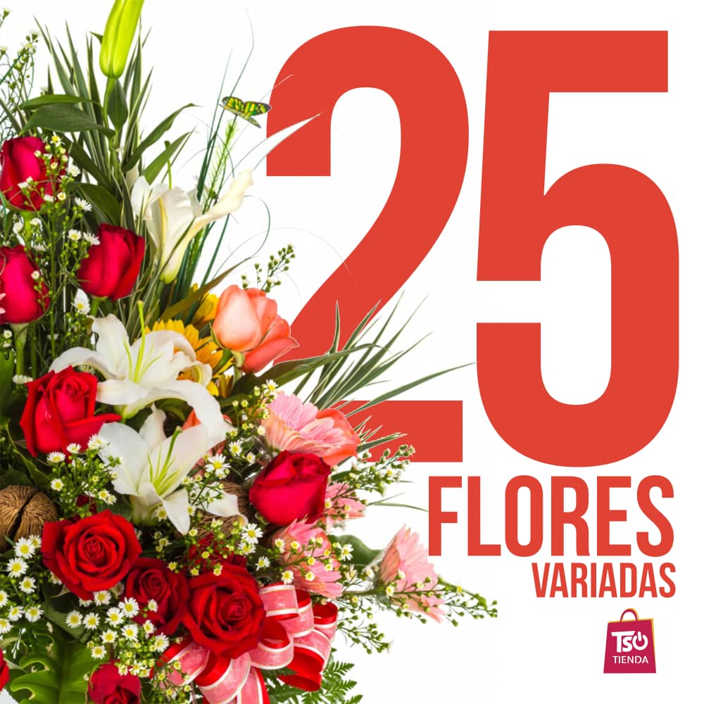 Ramo de 25 Flores Variadas