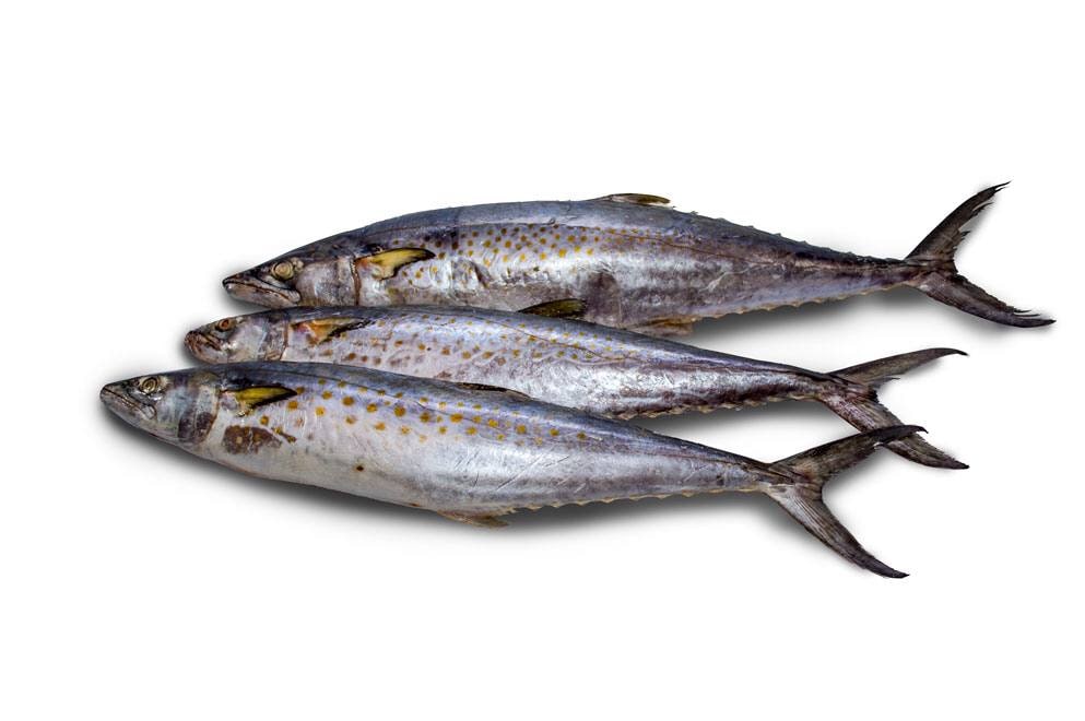 Pescado Sierra (5 Lb)