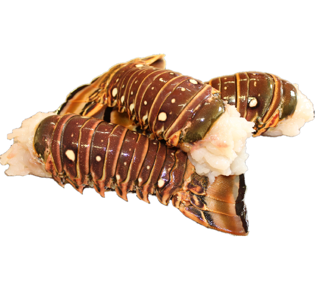 Langosta (3 Lbs)