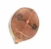 Ruedas de pescado Bonito (2 Lb)