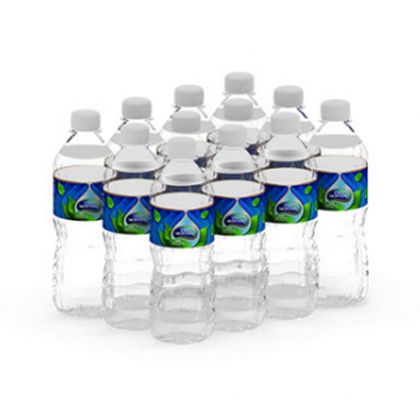 Agua Natural Ciego Montero 500 ML (12 Unidades)