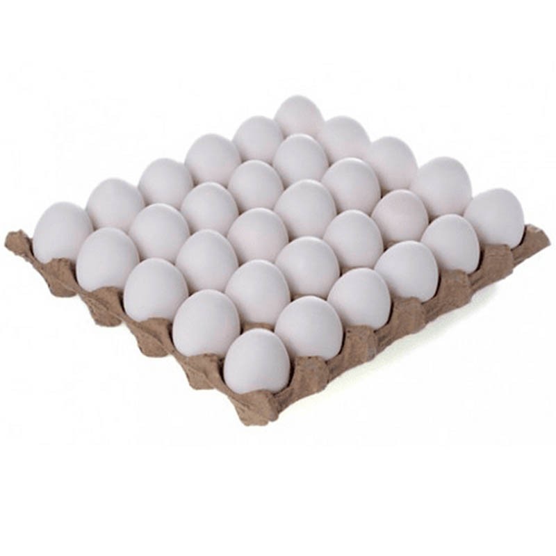 Cartón de Huevos de 30 unidades